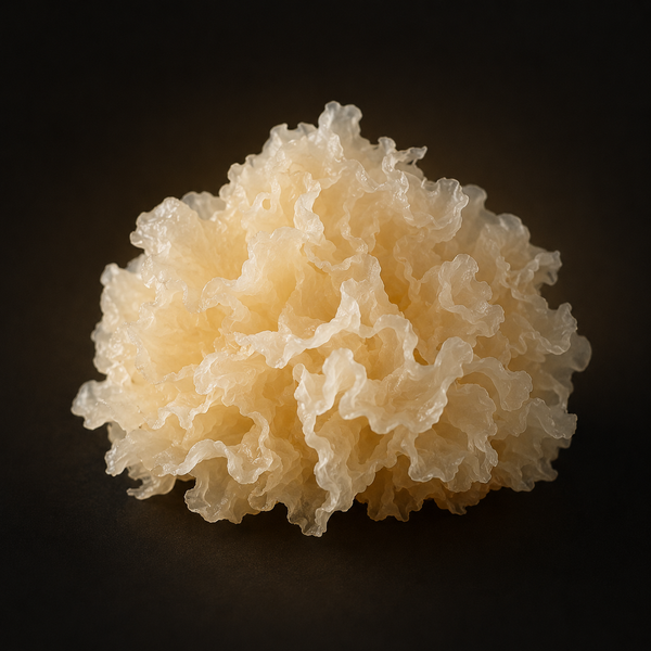 Tremella
